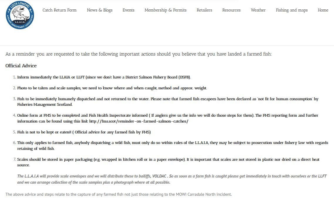 Euan McGrandle blog April 2021 #31 Euan McGrandle blog April 2021 #31