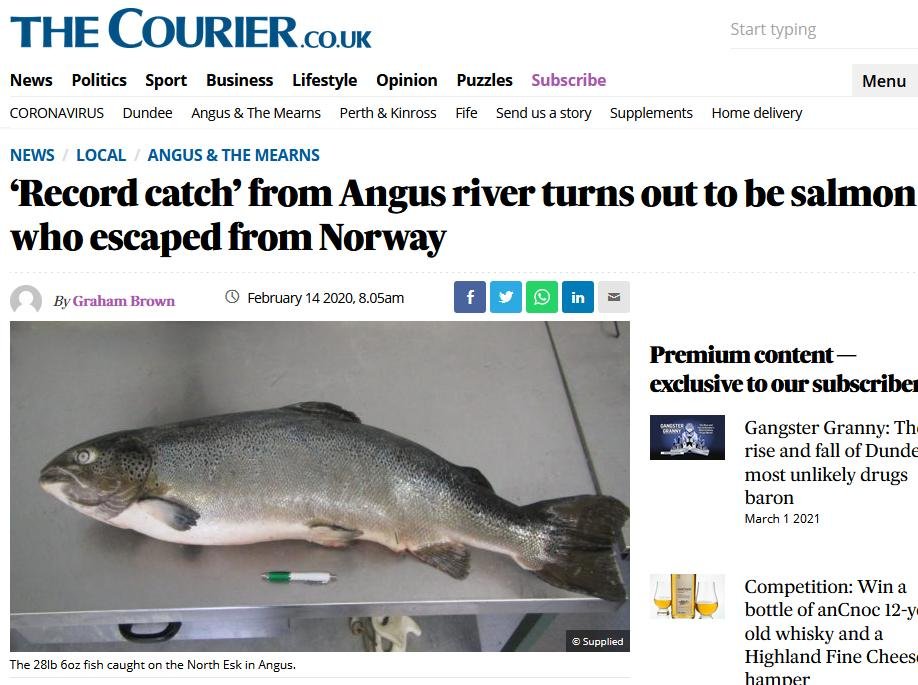 Euan McGrandle blog April 2021 #33 Euan McGrandle blog April 2021 #33