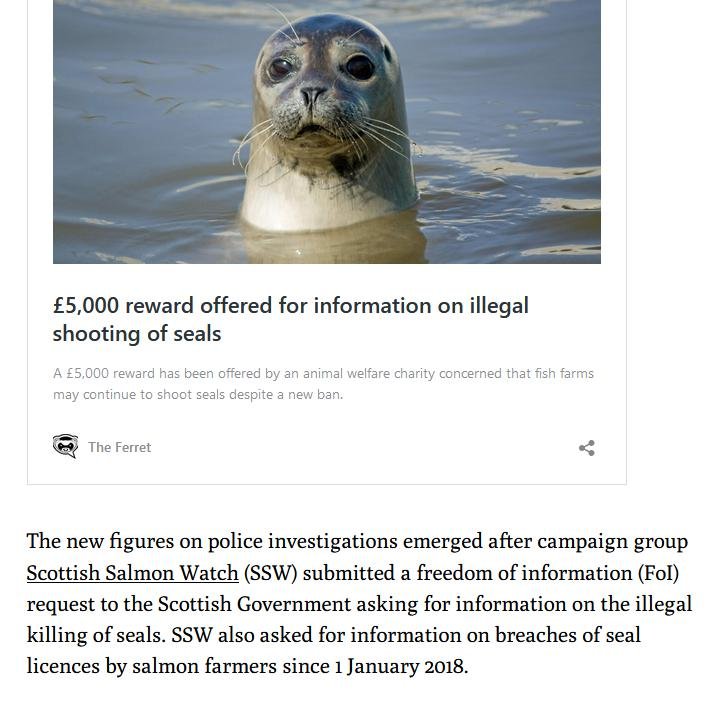 Ferret 26 April 2021 #3 Ferret 26 April 2021 #3