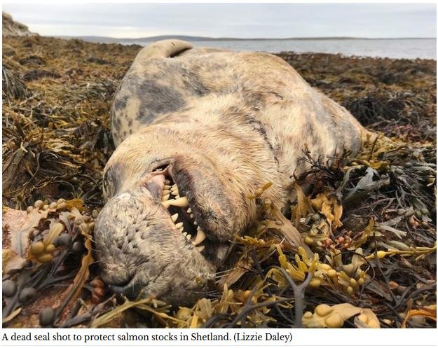 Belhaven blog 29 April 2021 #1