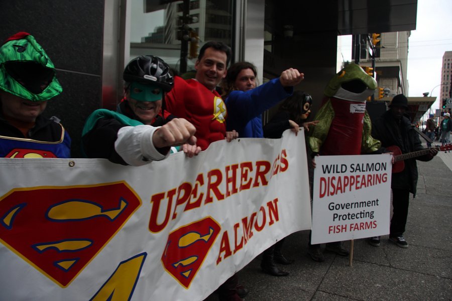 Superheroes 4 Salmon #4 Superheroes 4 Salmon #4