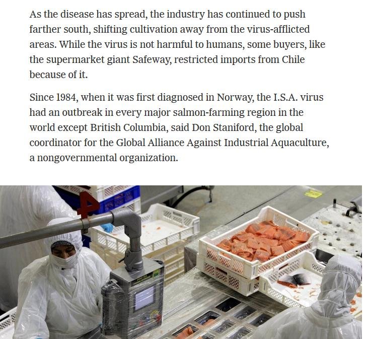 NY Times 2011 #2 NY Times 2011 #2