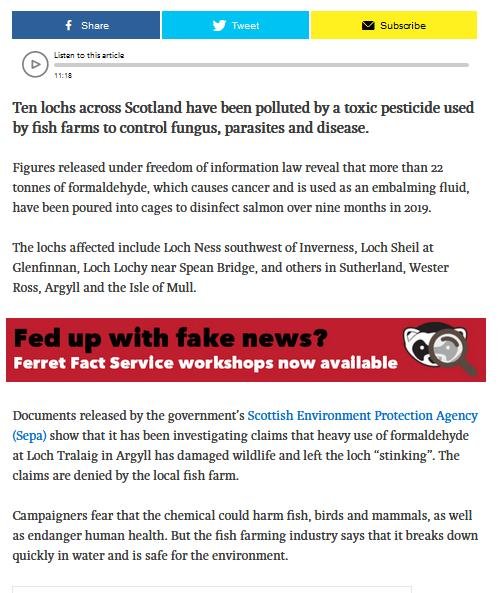 Ferret 24 May 2020 #2