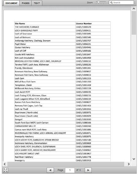 Ferret 24 May 2020 #12