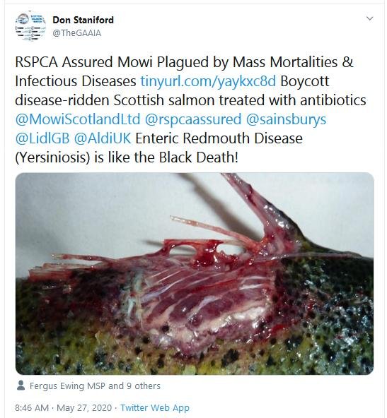 FHI Greshornish March 2020 blog Tweet #1 FHI Greshornish March 2020 blog Tweet #1