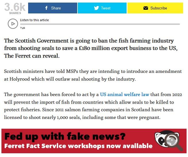 Ferret 2 June 2020 #2