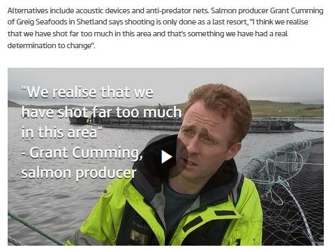 ITV News Grieg 2015 ITV News Grieg 2015