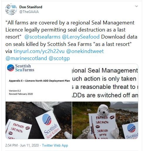 Tweet 11 June 2020 #1 SSF Tweet 11 June 2020 #1 SSF