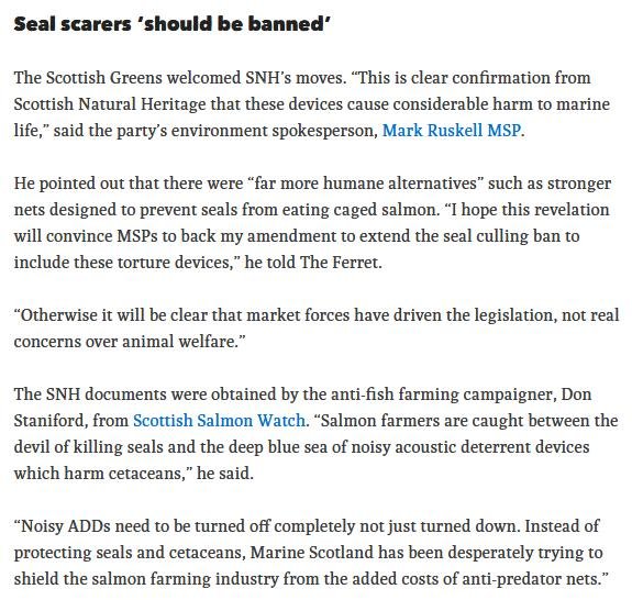 Ferret 17 June sonic torture 2020 #2