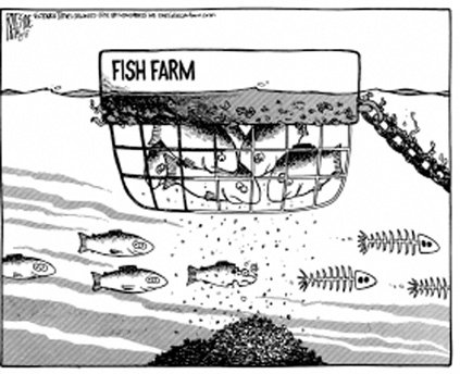 Raeside lice cartoon Raeside lice cartoon