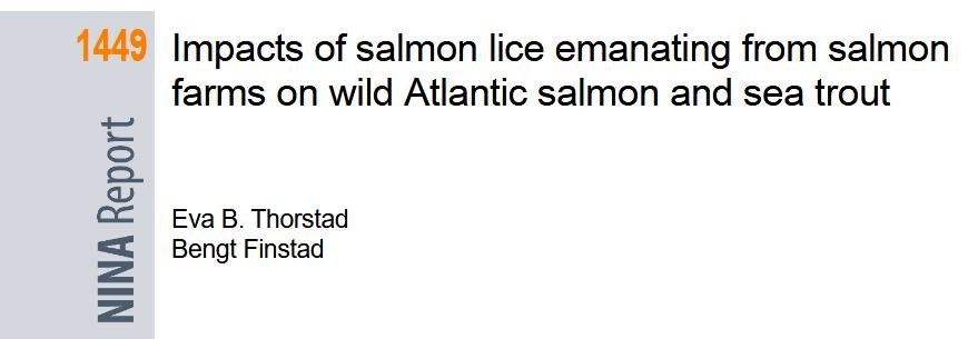 Nina 2018 report Nina 2018 report