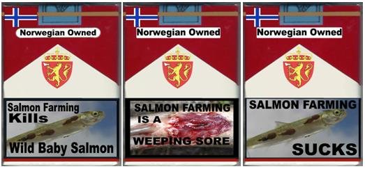 3 pack sea lice 3 pack sea lice