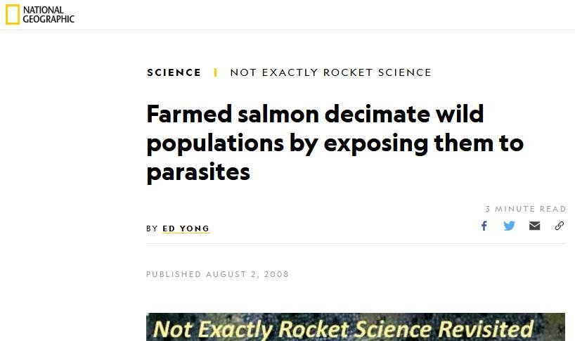 NG 2008 #1 NG 2008 #1