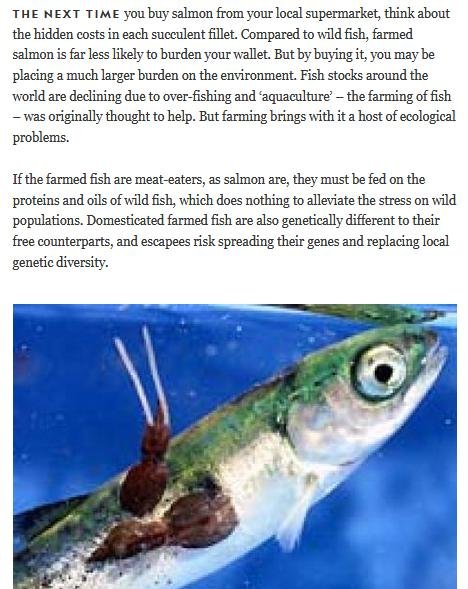 NG 2008 #2 NG 2008 #2