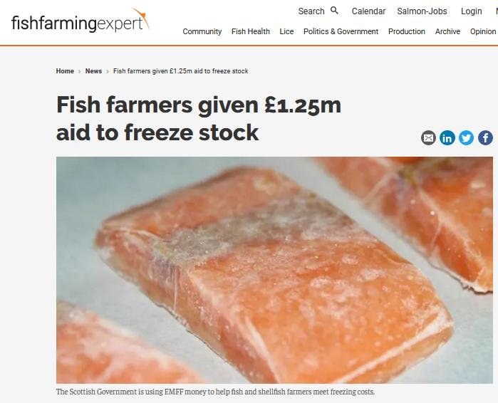 Fish Farming Expert June 2020 Freeze money Fish Farming Expert June 2020 Freeze money