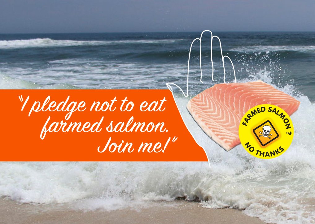 Pledge logo with hand and No Thanks