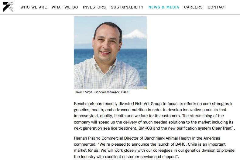 Benchmark Chile Purisan BMK08 1 July 2020 #2