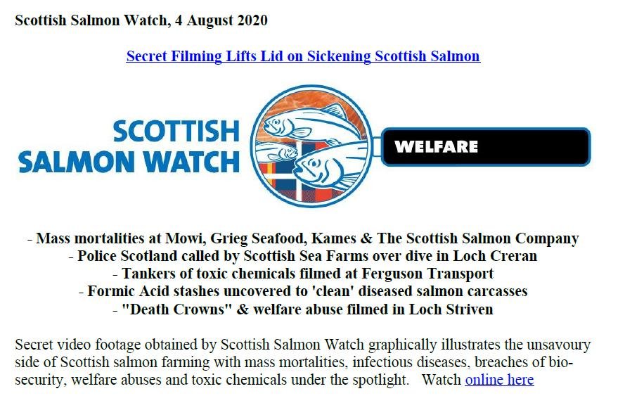 PR Secret Filming Lifts the Lid on Sickening Scottish Salmon 4 August 2020 #1 PR Secret Filming Lifts the Lid on Sickening Scottish Salmon 4 August 2020 #1