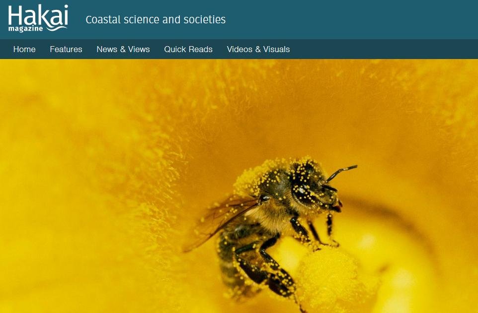 Imidacloprid Hakai May 2020 article #1 Imidacloprid Hakai May 2020 article #1