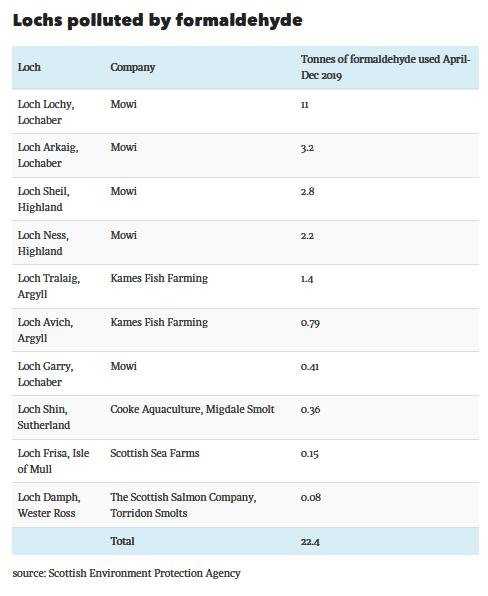 Ferret 24 May 2020 #4