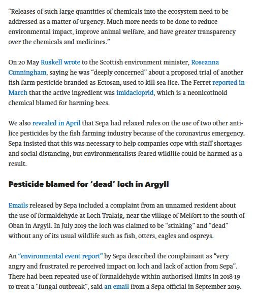 Ferret 24 May 2020 #6