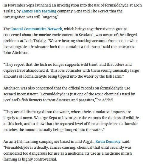 Ferret 24 May 2020 #7