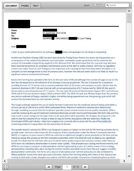 Ferret 24 May 2020 #14