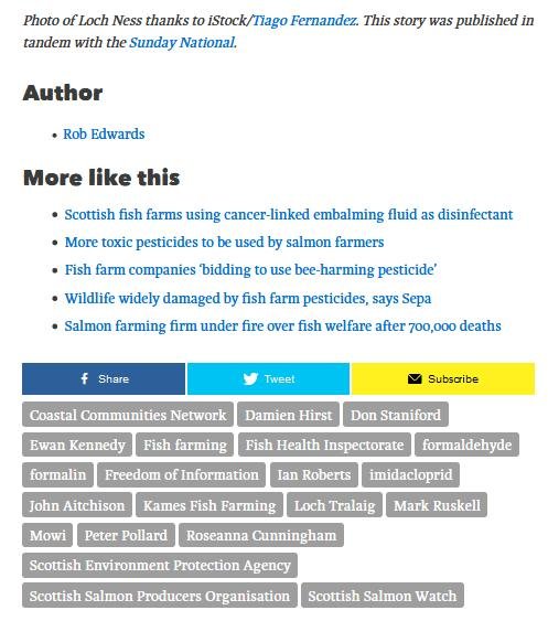 Ferret 24 May 2020 #15