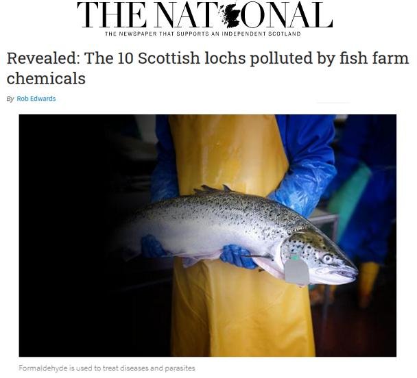 Sunday National 24 May 2020 #1