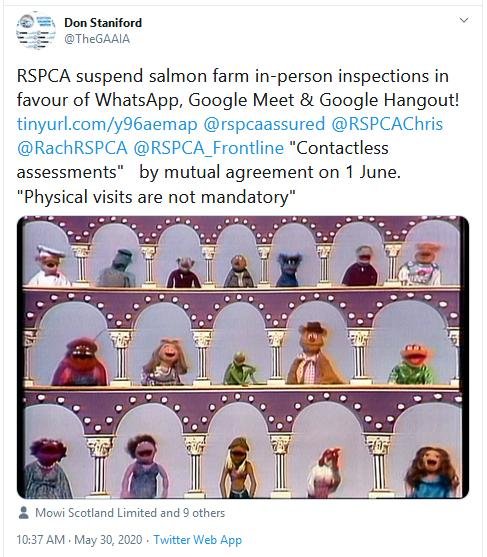 Coronavirus blog May 2020 Tweet #1 muppets Coronavirus blog May 2020 Tweet #1 muppets