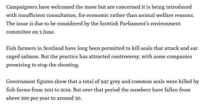 Ferret 2 June 2020 #3