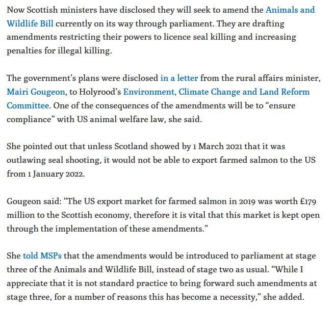 Ferret 2 June 2020 #6