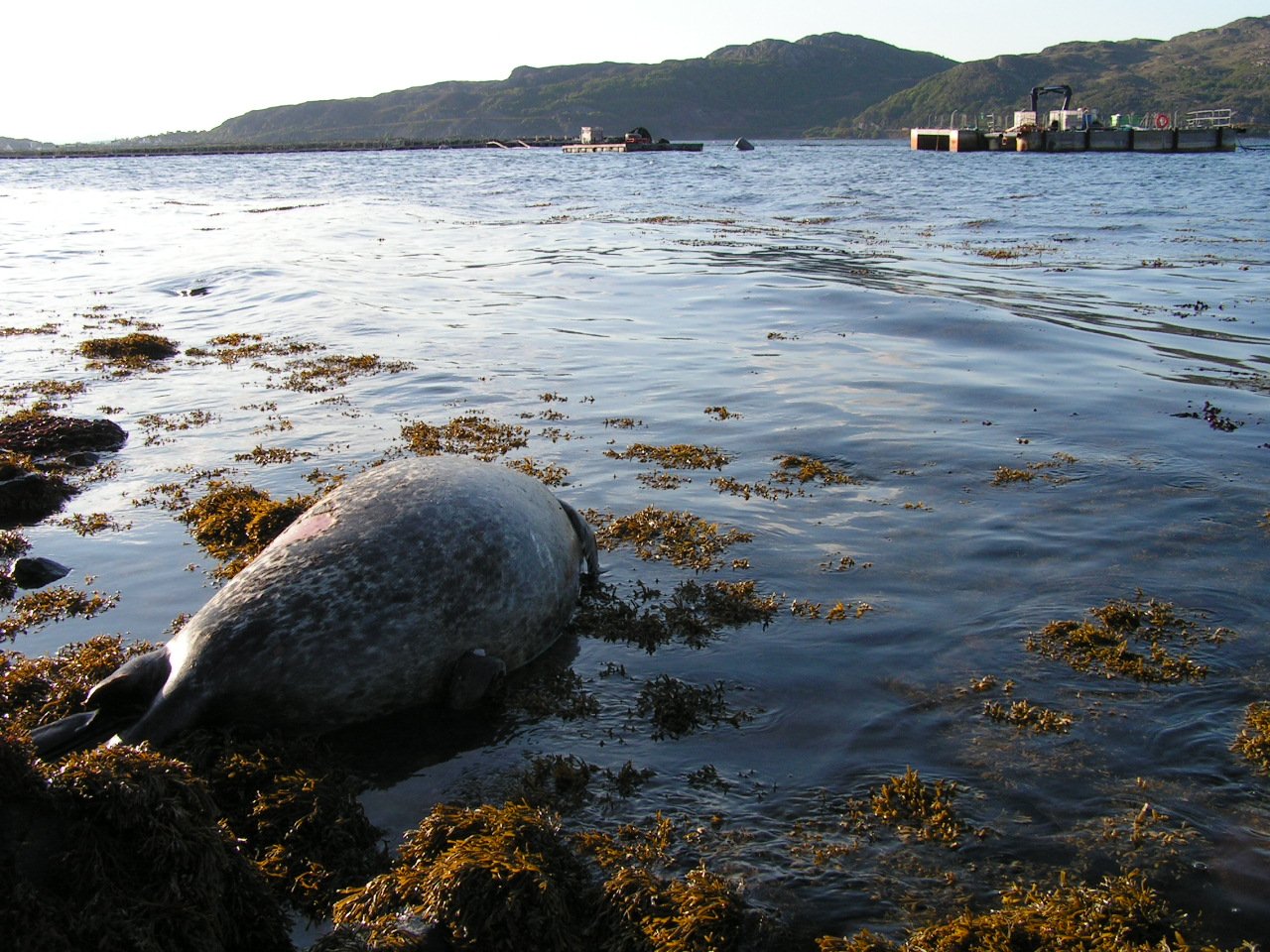 Nigel Smith photo #1 MH farm in background Nigel Smith photo #1 MH farm in background