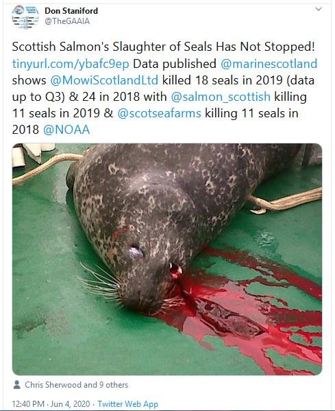 Blog June 2020 Tweet Blog June 2020 Tweet