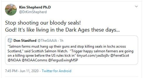 Ferret 11 June 2020 Tweet #3 Kim Shepherd