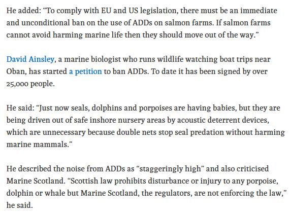 Ferret 17 June sonic torture 2020 #3