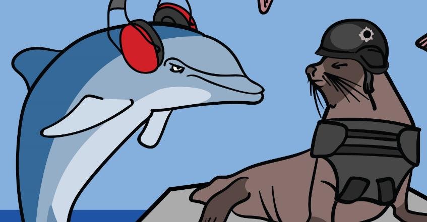 Photo Seal & Porpoise Photo Seal & Porpoise