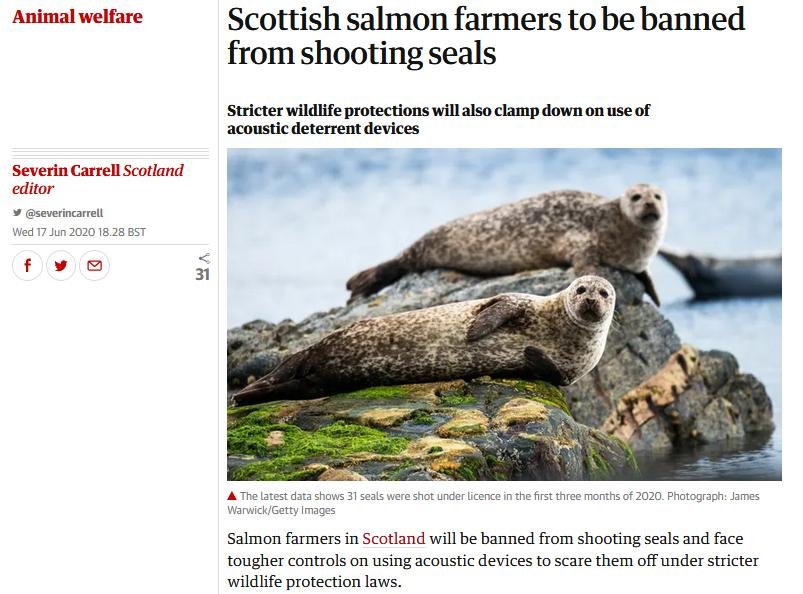 Guardian 17 June 2020 #1 Guardian 17 June 2020 #1