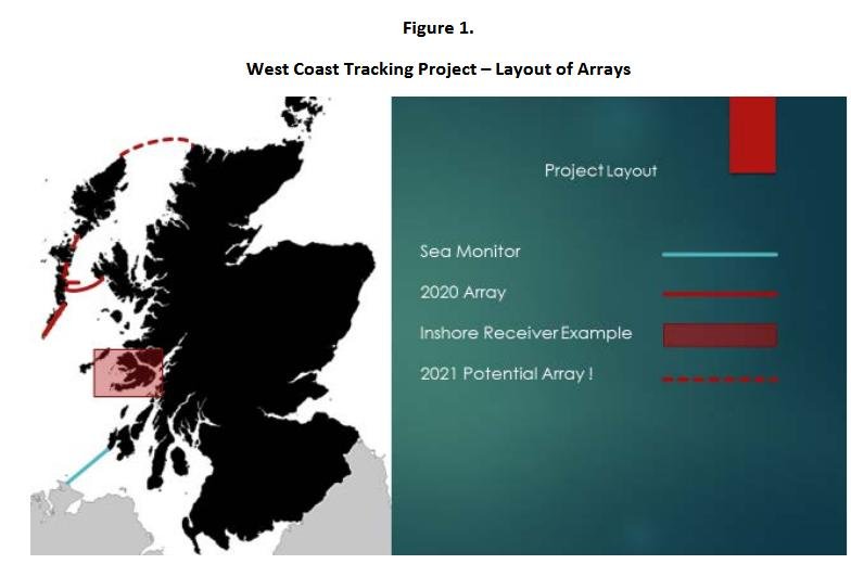 FOI reply West Coast Salmon Smolt March 2020 #7 map of array