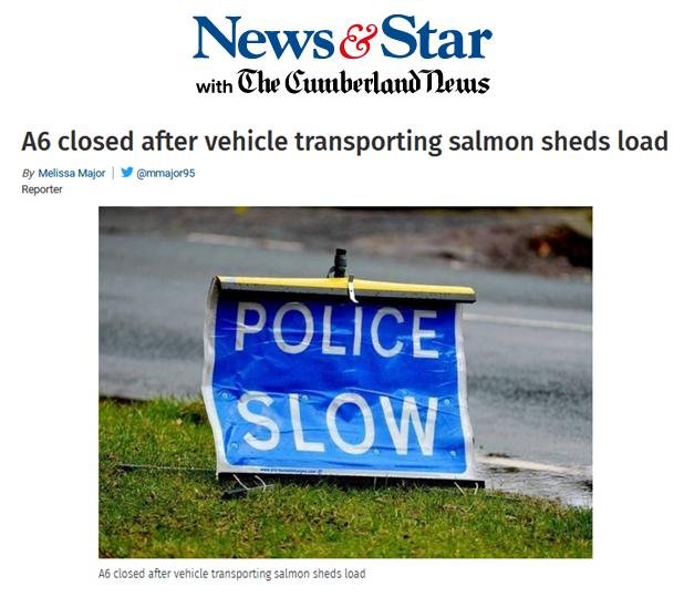 Cumbria salmon spill 30 June 2020 News & Star Cumbria salmon spill 30 June 2020 News & Star