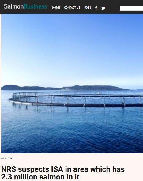 ISA Norway July 2020 #1