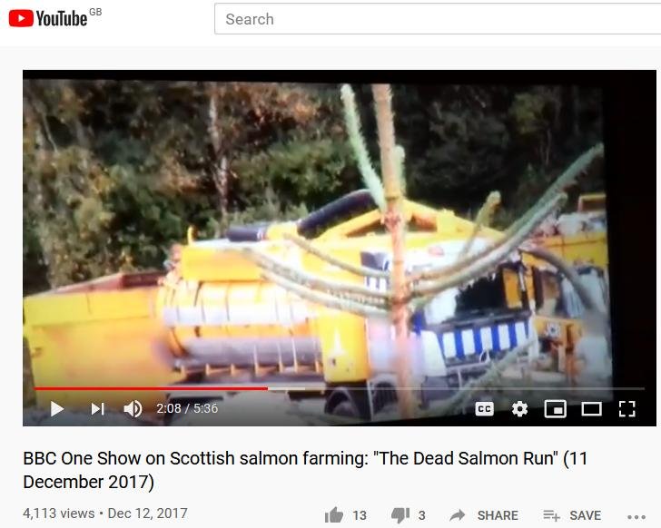 SSF One Show Kishorn