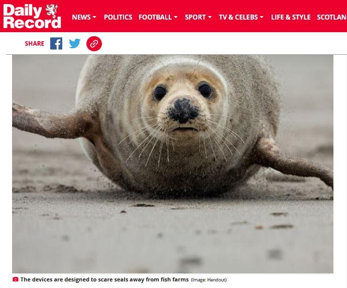 Daily Record 3 August 2020 ADDs #6 photo Daily Record 3 August 2020 ADDs #6 photo