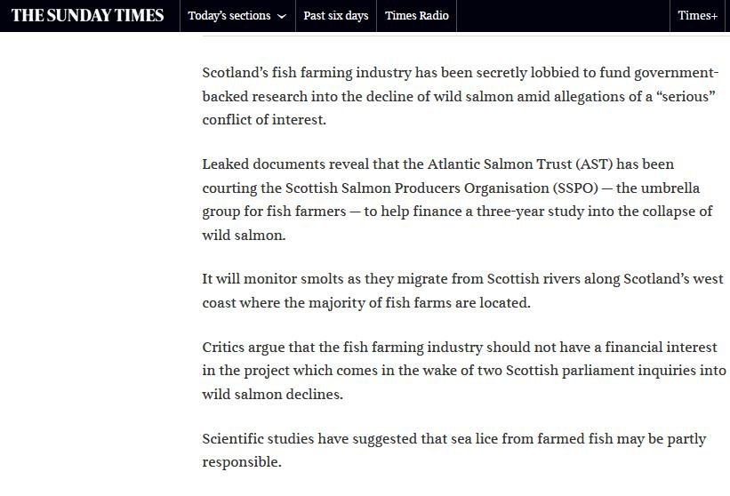 Sunday Times AST SSPO 23 Aug 2020 #2