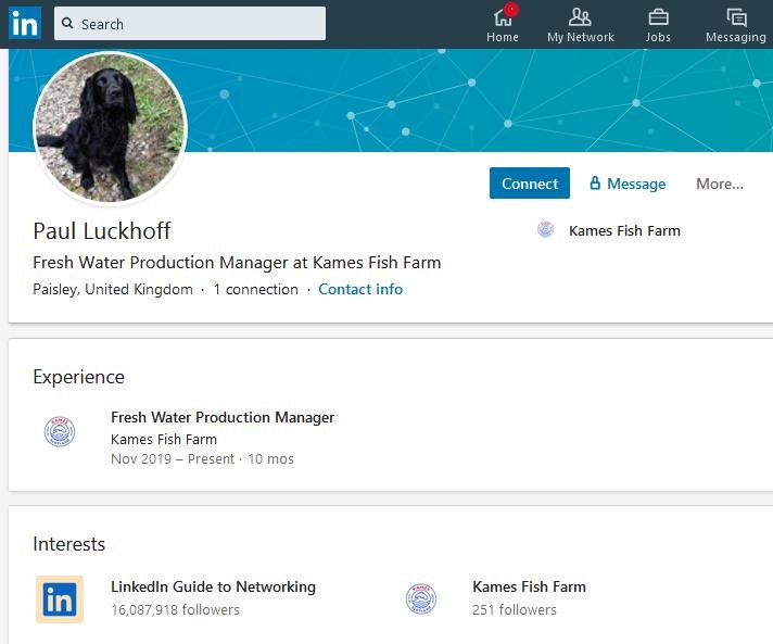 Linkedin Paul Luckhoff