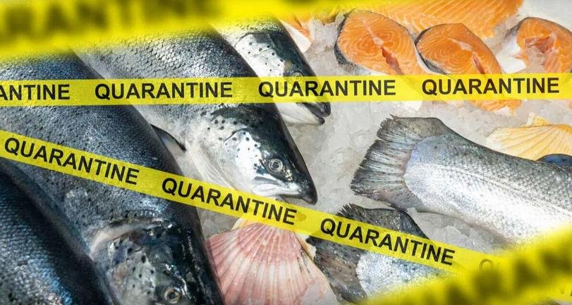 Coronavirus photo #4 Coronavirus photo #4