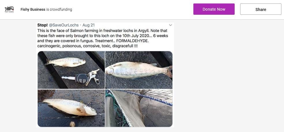 Just Giving 25 Aug 2020 #5