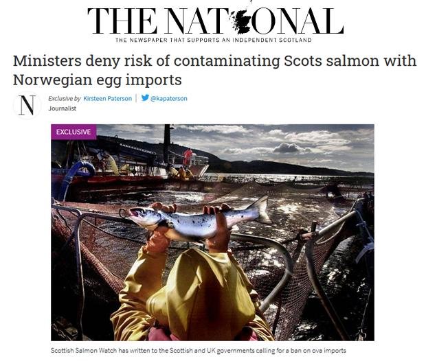 National 26 August 2020 #1