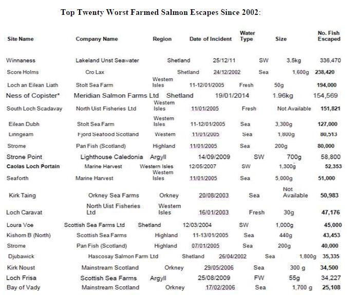 Blog Aug 2020 #5 Blog Aug 2020 #5