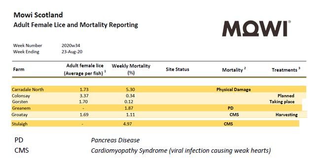 Lice & Mort reporting 23 Aug 2020 #2